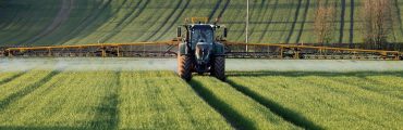 Le zéro pesticide peut-il résister aux contraintes de l’agriculture mondialisée ?