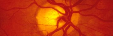 L’optogénétique ouvre la voie au contrôle des cellules par la lumière