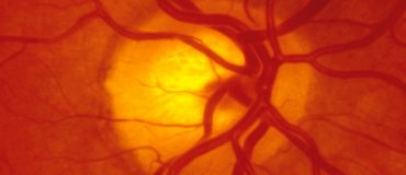 L’optogénétique ouvre la voie au contrôle des cellules par la lumière