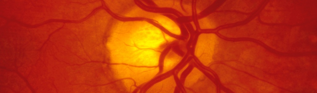 L’optogénétique ouvre la voie au contrôle des cellules par la lumière