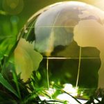 La COP17 biodiversité place les financements et les résultats au cœur des négociations