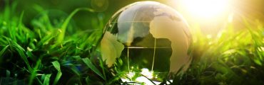 La COP17 biodiversité place les financements et les résultats au cœur des négociations