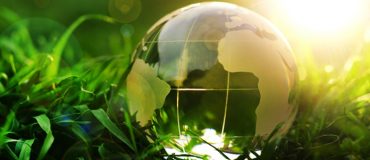 La COP17 biodiversité place les financements et les résultats au cœur des négociations