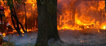 Des retardateurs de flamme plus écologiques pour combattre les feux de forêt