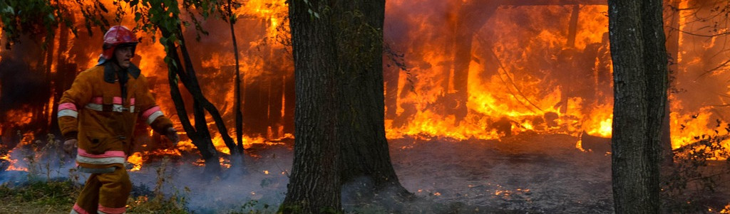Des retardateurs de flamme plus écologiques pour combattre les feux de forêt