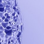 « SpudCell », quand la cellule devient un système d’ingénierie