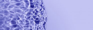 « SpudCell », quand la cellule devient un système d’ingénierie