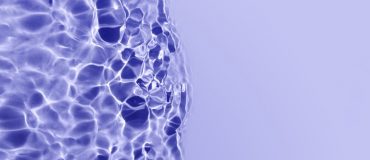 « SpudCell », quand la cellule devient un système d’ingénierie