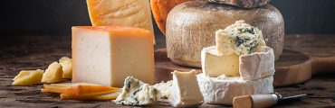 Standing Ovation à l’aube d’une commercialisation à grande échelle de sa caséine produite par fermentation de précision