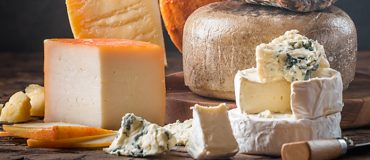 Standing Ovation à l’aube d’une commercialisation à grande échelle de sa caséine produite par fermentation de précision