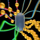 L’ANSES s’alarme de la toxicité des nanoparticules