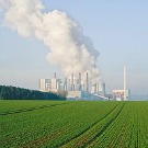 Quels impacts de la pollution de l'air sur l'agriculture ?