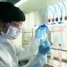 Des approches prédictives pourraient se substituer aux vrais tests de substances chimiques