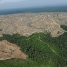 Brésil: la déforestation de l'Amazonie en hausse de 29% entre 2012 et 2013