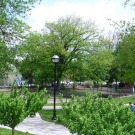 Les pesticides interdits dans les espaces verts publics fin 2016 ?