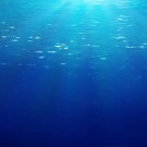 Climat: les eaux dans les fonds océaniques ne se réchauffent plus depuis 2005 (Nasa)