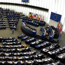 Le Parlement européen ouvre sous conditions l'UE à la culture des OGM