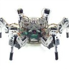 Un robot marcheur capable d’adapter son déplacement comme un animal