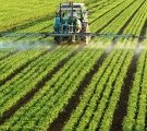 Le glyphosate à nouveau dans la tourmente