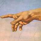 La main de l'homme, pas si "évoluée" que cela