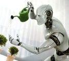 Vidéo – A quoi ressemblera le robot de compagnie ?