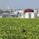 Le bioéthanol : une solution non durable