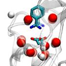 Images de synthèse : liaison d'une molécule avec sa protéine cible