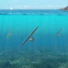 SAAB et MINESTO inventent une nouvelle technologie marine : Deep Green Turbine