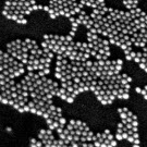 Des nanoparticules métalliques pour traiter les effluents industriels