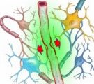 Electron, Faraday et radicaux libres