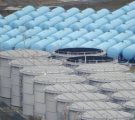 Le casse-tête de l’eau contaminée à Fukushima