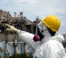 Pesticides: le Pr Séralini persiste et signe dans une nouvelle étude
