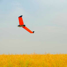 Airinov, le drone au service de l’agriculture de précision