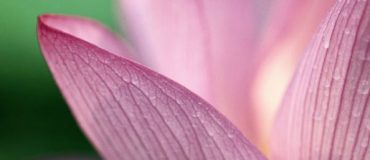 Des matériaux aux propriétés toujours plus incroyables