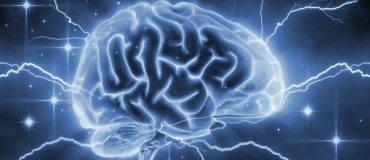 Cerveau&nbsp;: où en est la recherche&nbsp;?