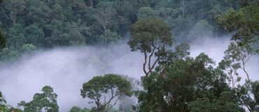 Gestion des ressources naturelles fossiles&nbsp;: l'impossible défi&nbsp;?