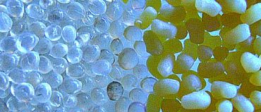 Les matériaux de demain