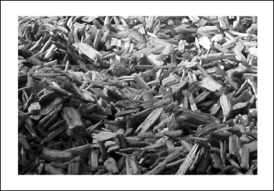 Granulats végétaux.