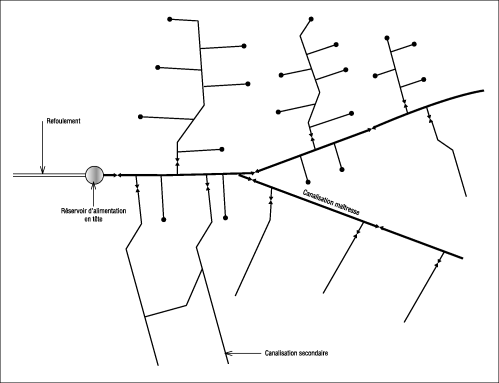 Réseau de distribution d’eau ramifié.