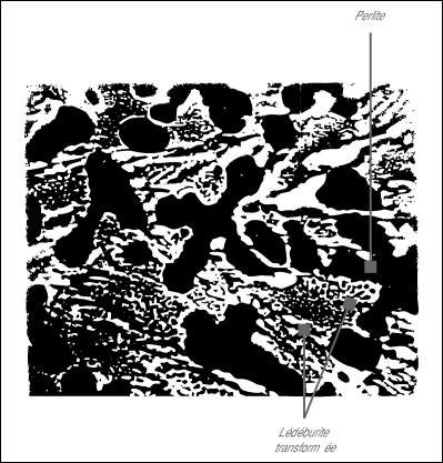 Structure d’une fonte blanche hypoeutectoïde.