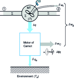 Demonstrating the concept of exergy