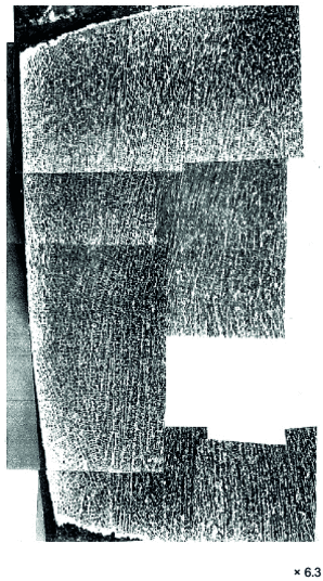Example of the basaltic structure of a thermite weld