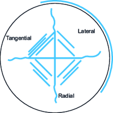 Schematic representation of the different types of cracks obtained during a Vickers indentation test of a coating under high load.