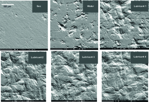 SEM image of the surface of samples crushed at 200 J under different lubrication conditions