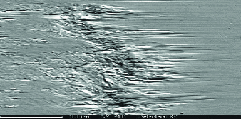 SEM image of the surface of a crushed sample without lubricant (dry)