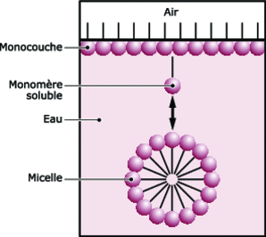 Micelle formation