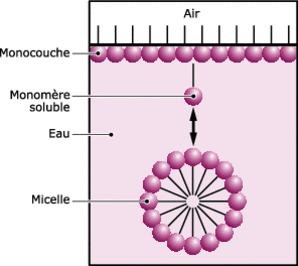 Micelle formation