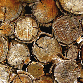 Wood and paper