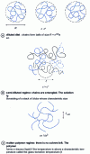 Figure 2 - The different concentration regimes of a polymer in solution. c is the number of monomers per unit volume.