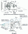 Figure 37 - Wheel carrier and rear suspension of a Porsche 917(Porsche doc.)